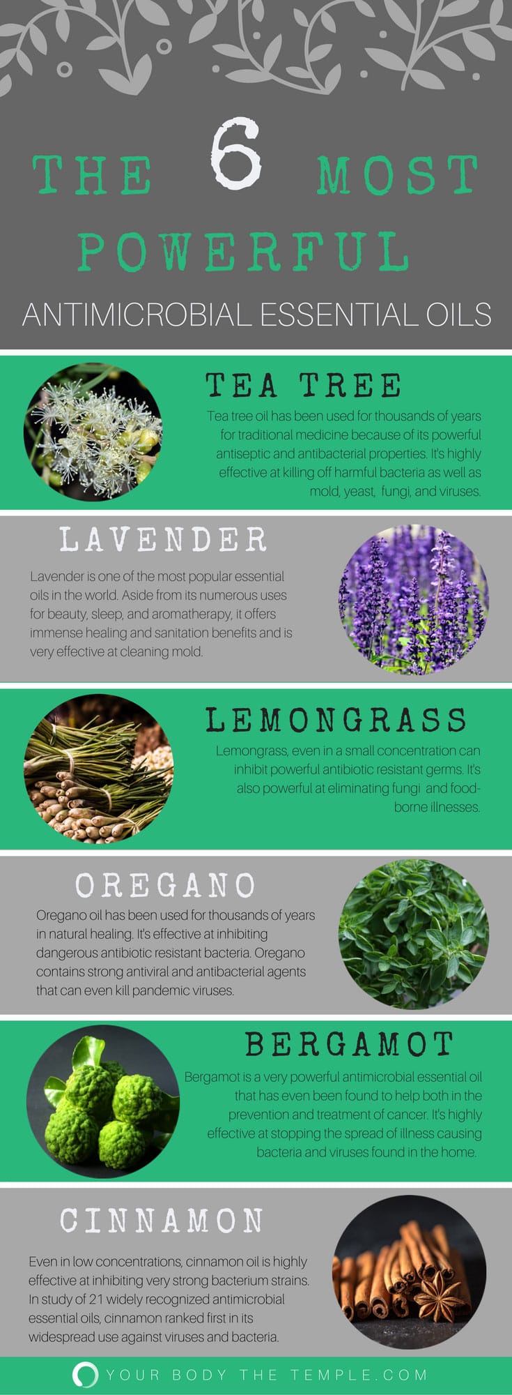 antimicrobial essential oils