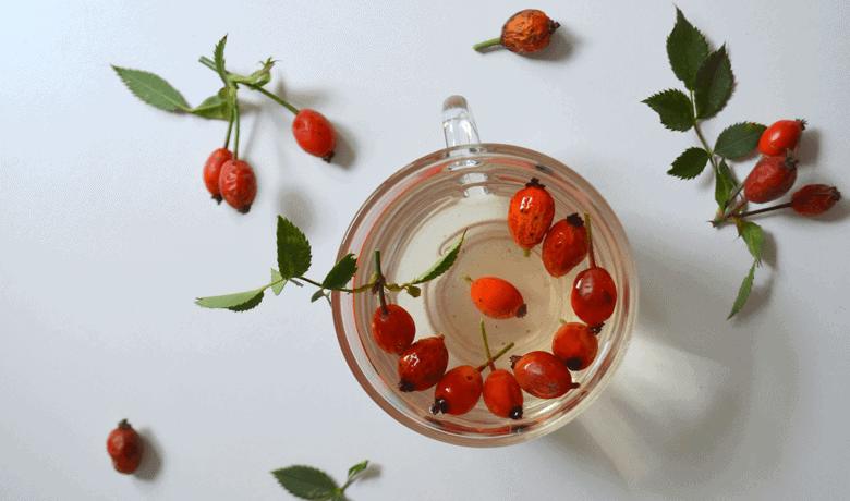 rosehip oil and acne