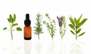 antimicrobial essential oils