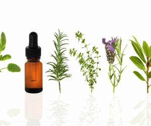 antimicrobial essential oils